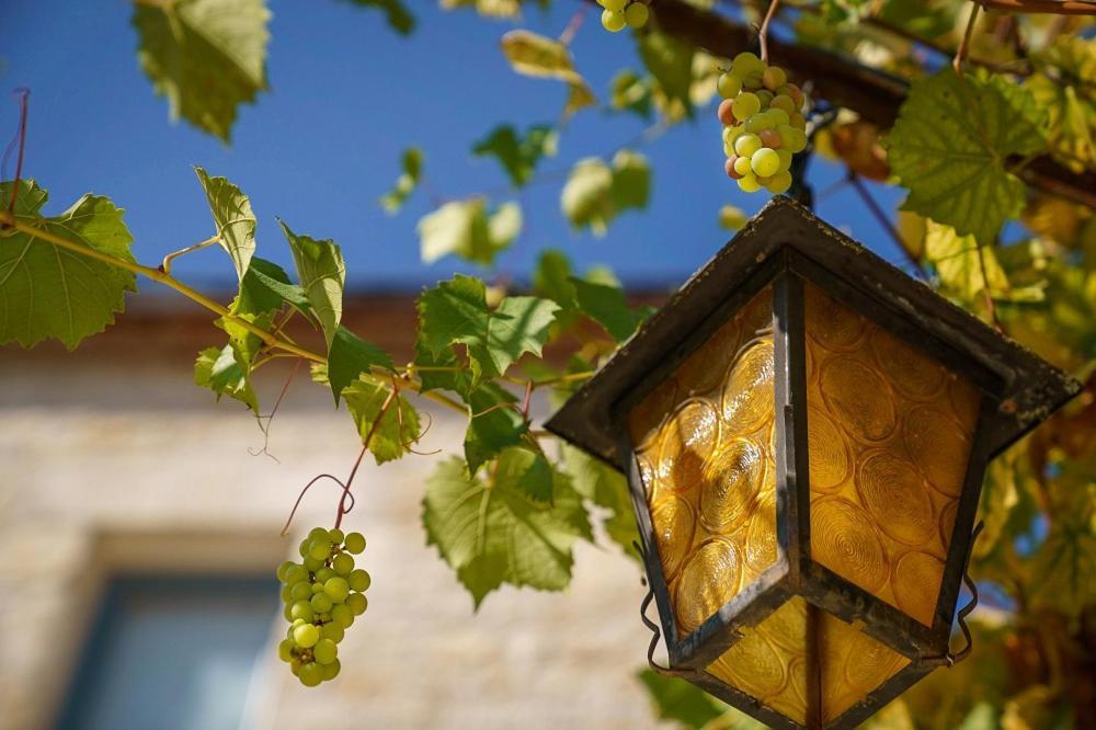 Vila Chateau Du Raysse Cazoules Exteriér fotografie